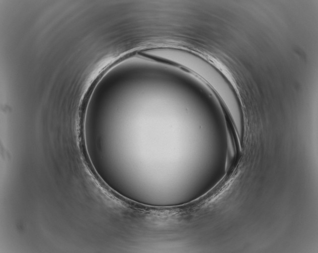 X0000090900997200708061500