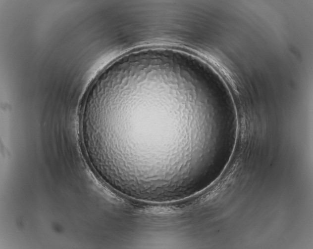 X0000090900998200708061500