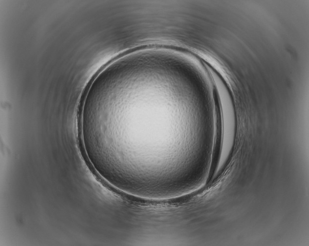 X0000090900999200708061500