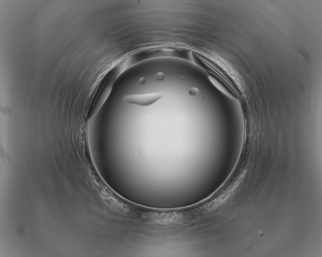 X0000090901001200708061500