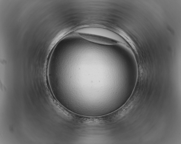 X0000090901002200708061500