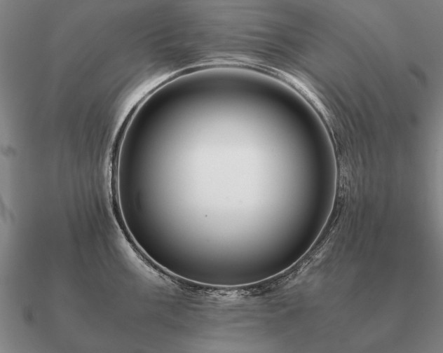 X0000090901003200708061500