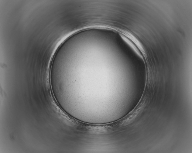 X0000090901004200708061500