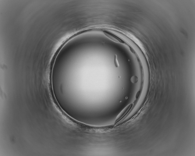 X0000090901005200708061500