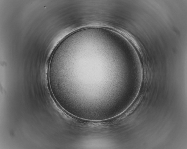 X0000090901006200708061500