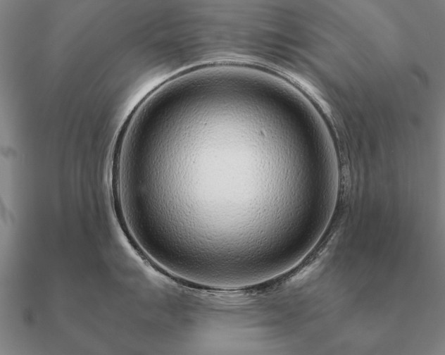 X0000090901007200708061500