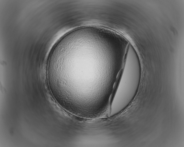 X0000090901008200708061500