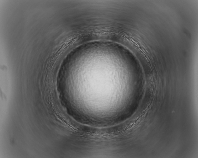 X0000090901009200708061500