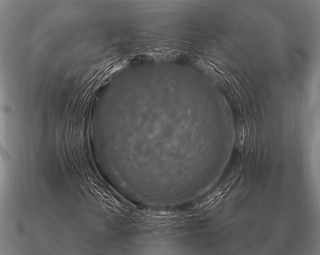 X0000090901010200708061500