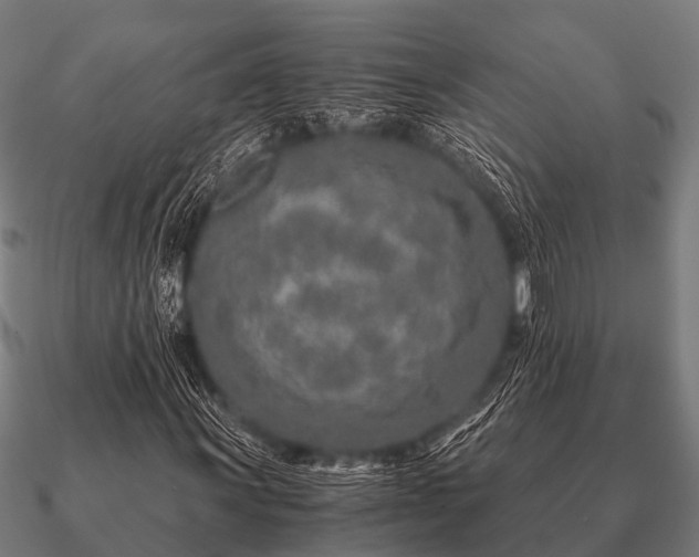 X0000090901011200708061500