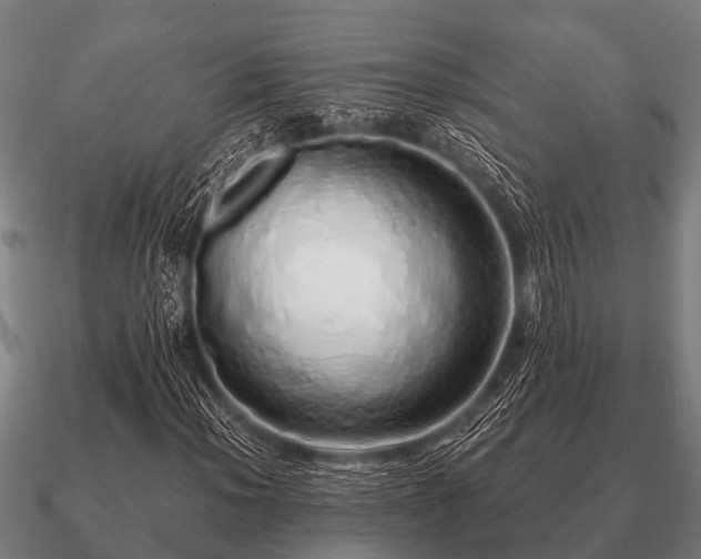 X0000090901012200708061500