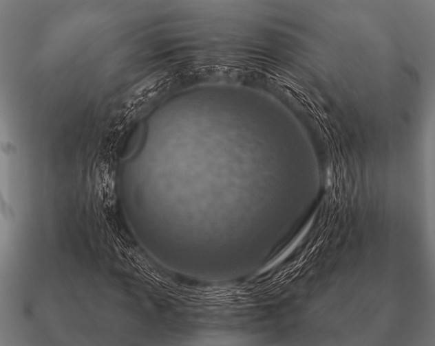 X0000090901013200708061500