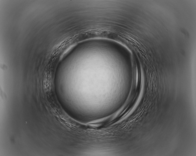 X0000090901014200708061500