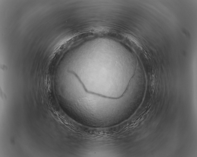 X0000090901016200708061500