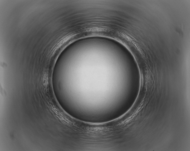 X0000090901017200708061500