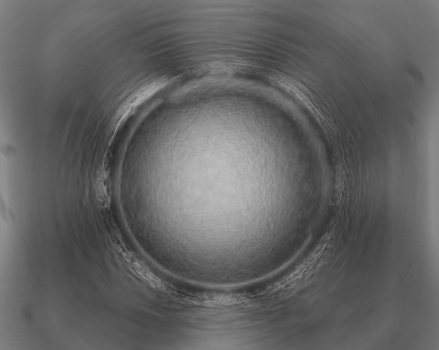 X0000090901018200708061500