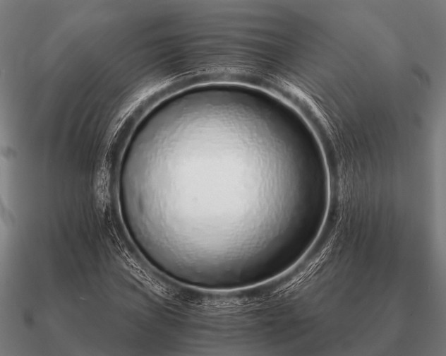 X0000090901019200708061500