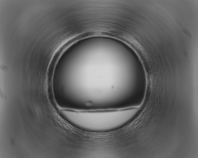 X0000090901020200708061500