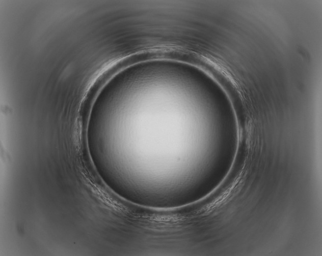 X0000090901021200708061500