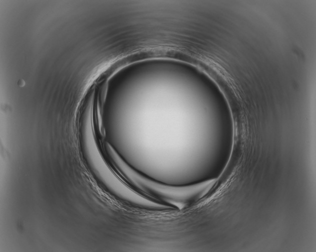 X0000090901022200708061500