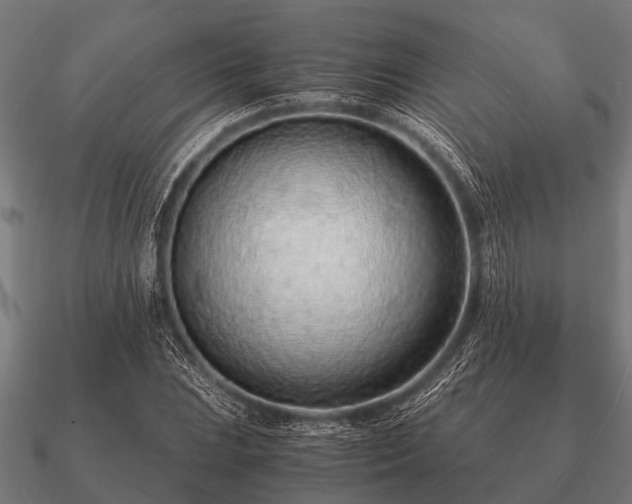 X0000090901023200708061500