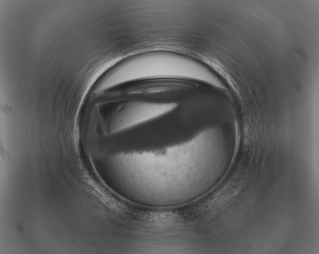 X0000090901024200708061500