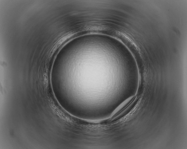 X0000090901025200708061500