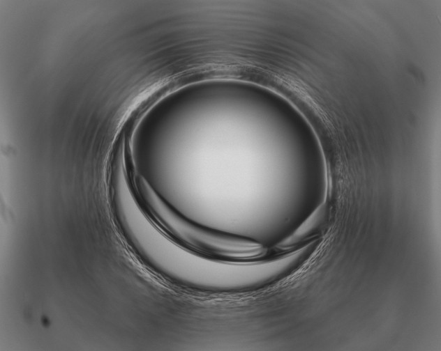 X0000090901026200708061500