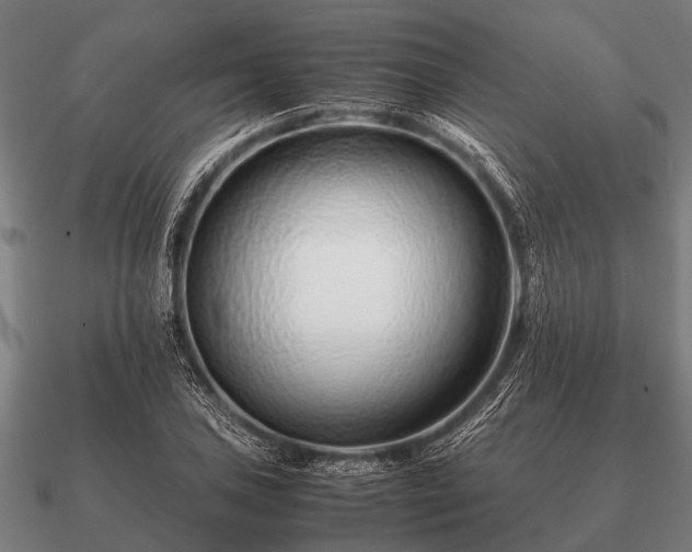 X0000090901027200708061500