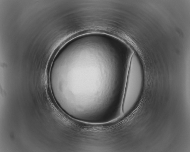 X0000090901028200708061500