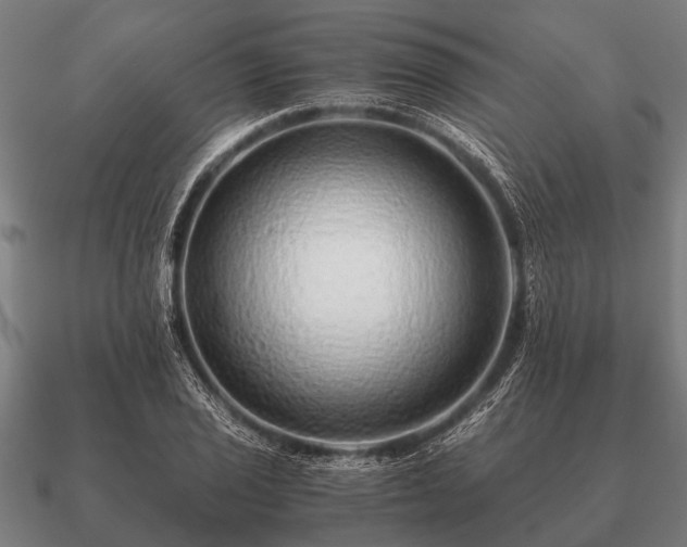 X0000090901029200708061500