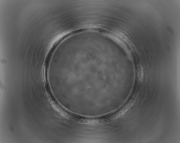 X0000090901030200708061500