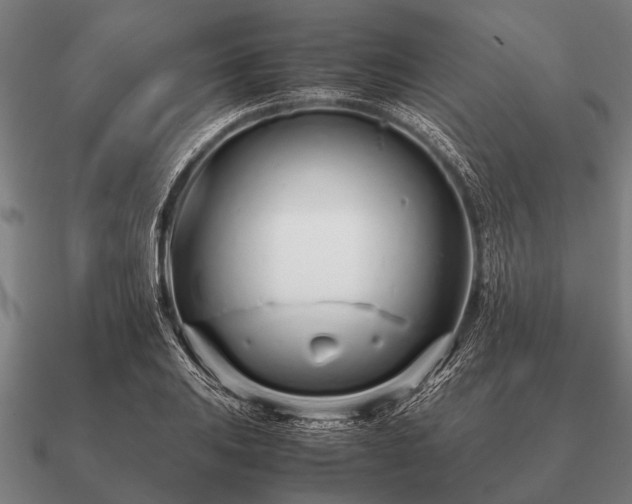 X0000090901031200708061500