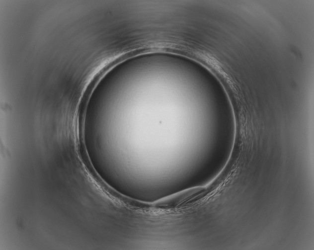 X0000090901032200708061500