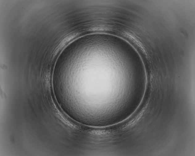 X0000090901033200708061500