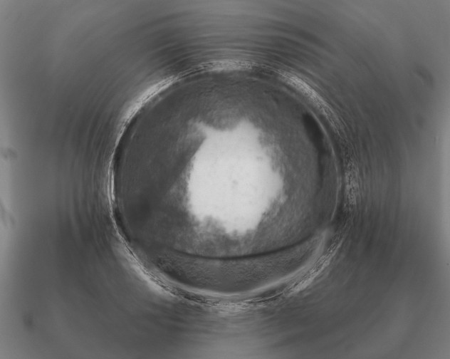 X0000090901034200708061500