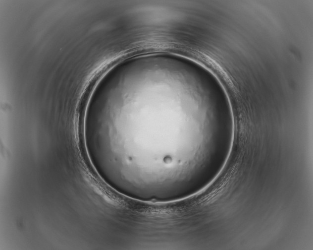 X0000090901035200708061500