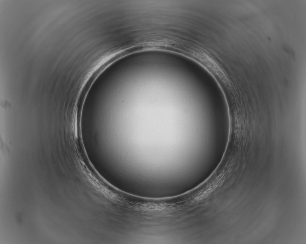 X0000090901036200708061500