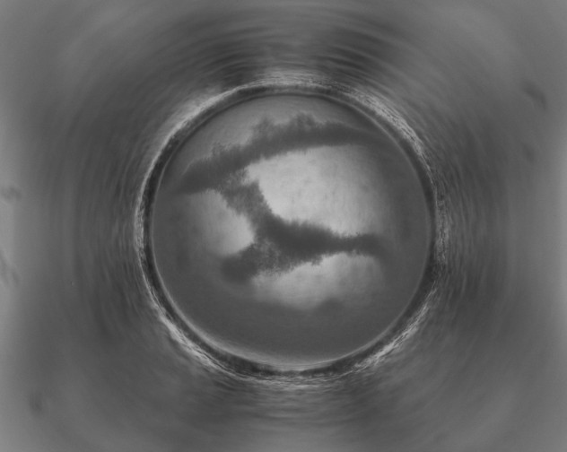 X0000090901037200708061500