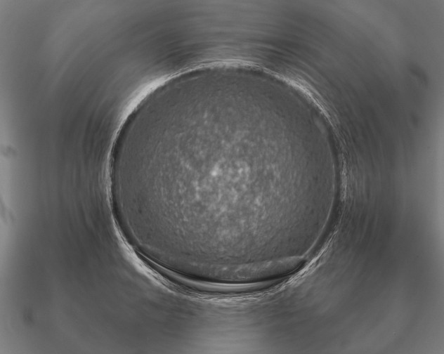 X0000090901038200708061500