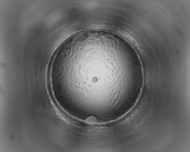 X0000090901039200708061500