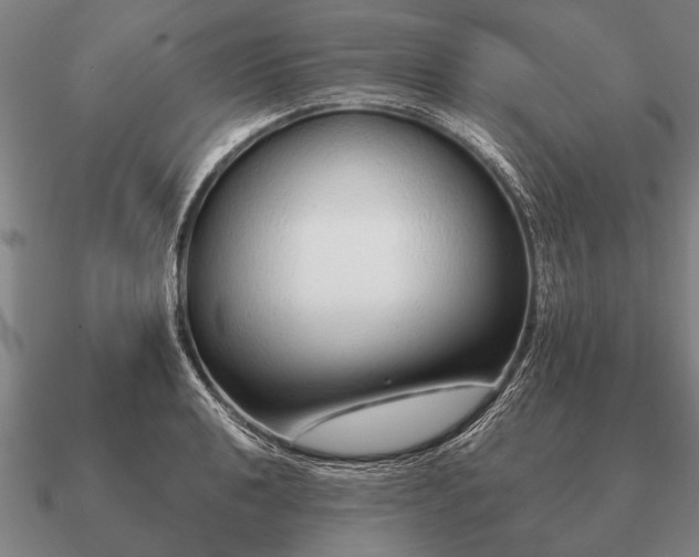 X0000090901040200708061500