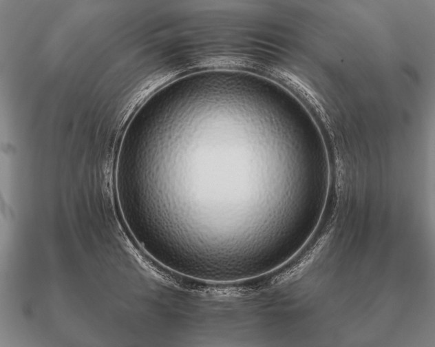 X0000090901041200708061500