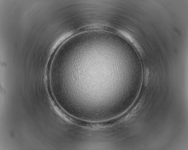 X0000090901042200708061500