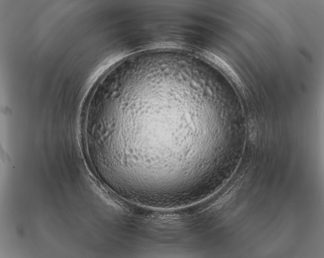 X0000090901043200708061500