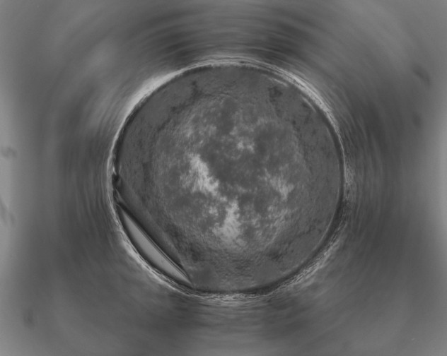 X0000090901045200708061500