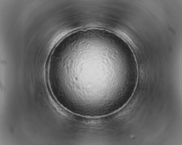 X0000090901047200708061500