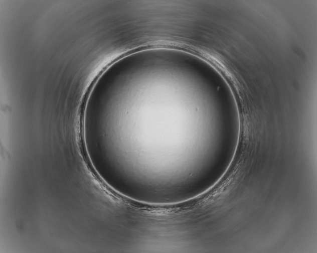 X0000090901048200708061500