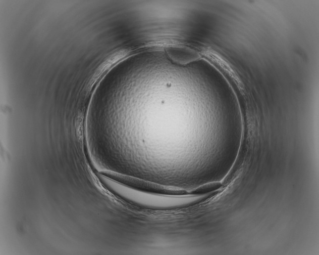 X0000090901049200708061500