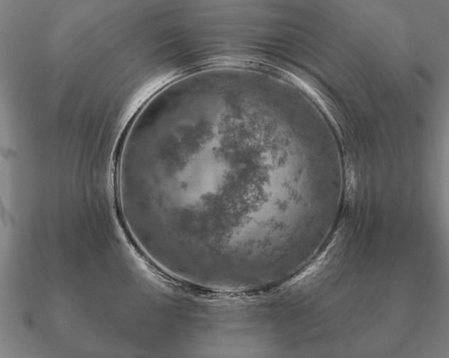 X0000090901050200708061500